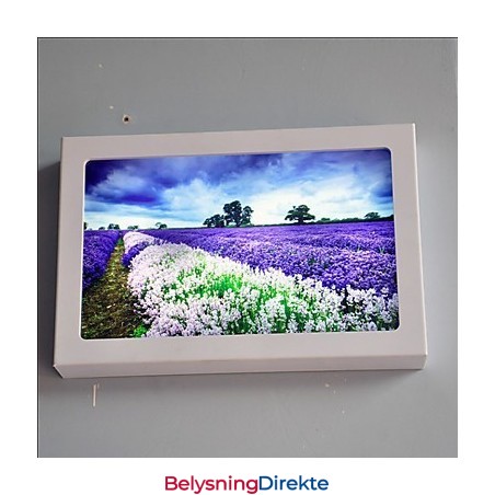 Integrert Moderne Samtidskunstnerisk Moderne Samtidsmalerifunksjon For Omgivende Lysvegglamper