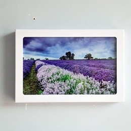 Integrert Moderne Samtidskunstnerisk Moderne Samtidsmalerifunksjon For Omgivende Lysvegglamper