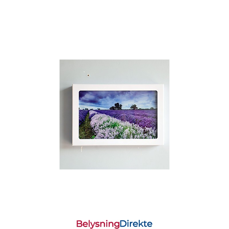 Integrert Moderne Samtidskunstnerisk Moderne Samtidsmalerifunksjon For Omgivende Lysvegglamper