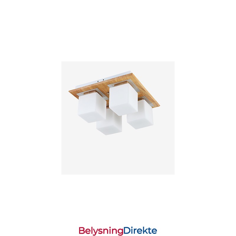 Innfelt Mini-Stil Moderne Samtidskunst Tre Bambus