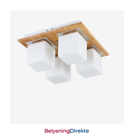 Innfelt Mini-Stil Moderne Samtidskunst Tre Bambus