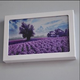 Integrert Moderne Samtidskunstnerisk Moderne Samtidsmalerifunksjon For Omgivende Lysvegglamper