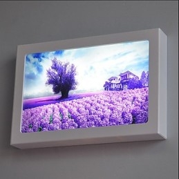 Integrert Moderne Samtidskunstnerisk Moderne Samtidsmalerifunksjon For Omgivende Lysvegglamper