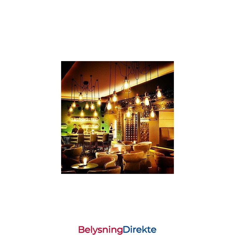 Landsdesignere Maler Metalllysekrone