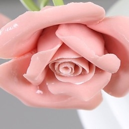 Valentinsdagen Rosehagen Blomster Og Planter Absorberer Kuppellys