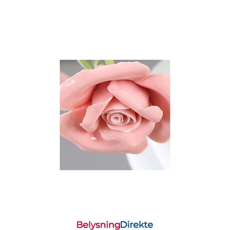 Valentinsdagen Rosehagen Blomster Og Planter Absorberer Kuppellys