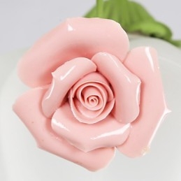 Valentinsdagshageblomster Og -Planter Absorberer Kuppellys