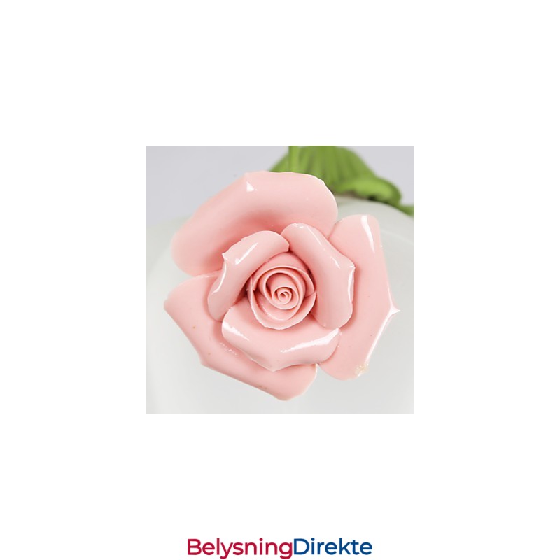 Valentinsdagshageblomster Og -Planter Absorberer Kuppellys