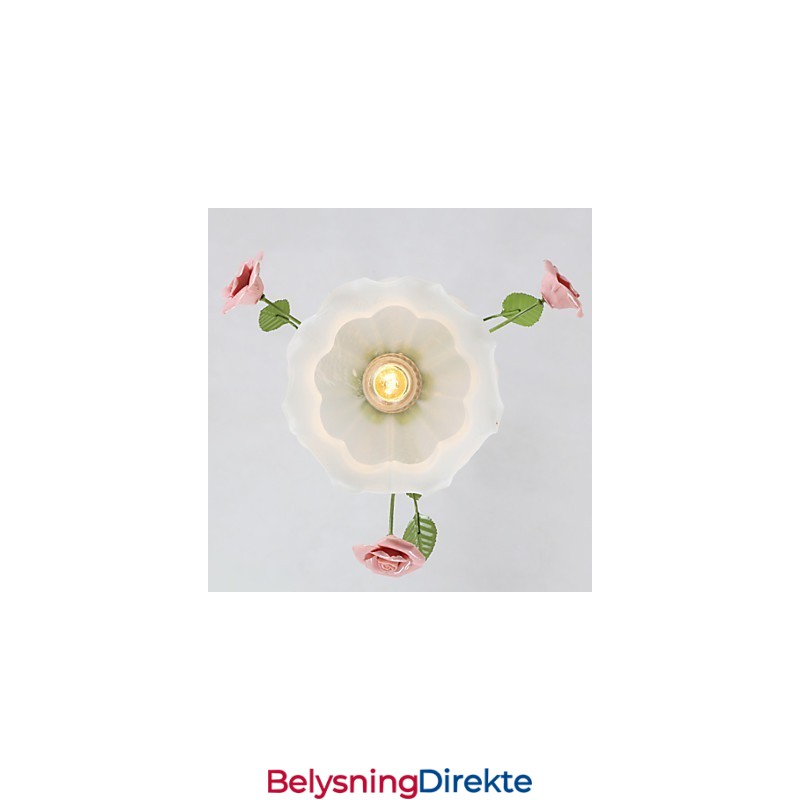 Valentinsdagshageblomster Og -Planter Absorberer Kuppellys