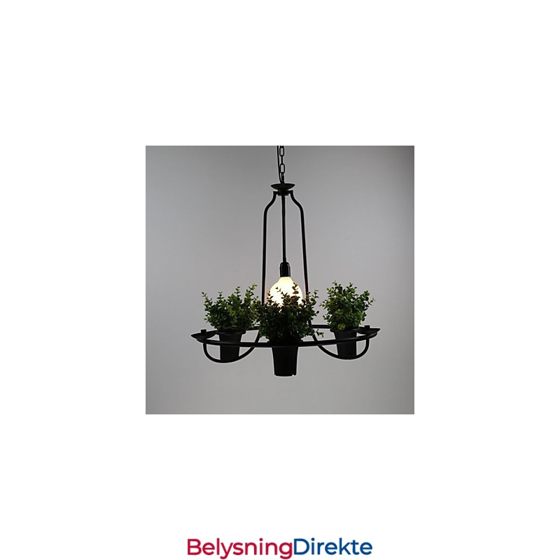 Middelhavshageblomster Lys