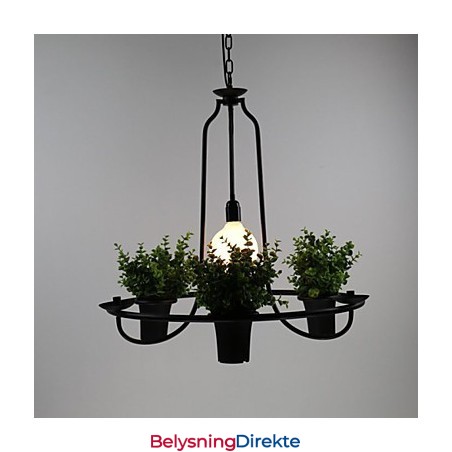 Middelhavshageblomster Lys