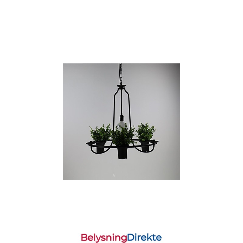 Middelhavshageblomster Lys