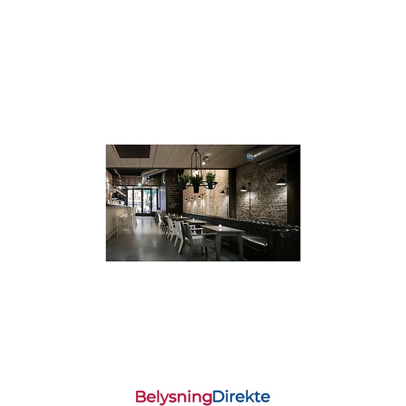 Middelhavshageblomster Lys