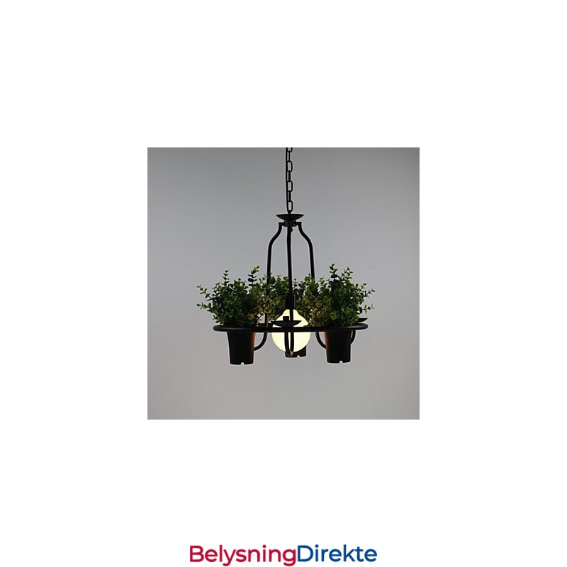 Middelhavshageblomster Lys