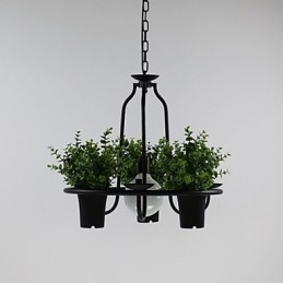 Middelhavshageblomster Lys