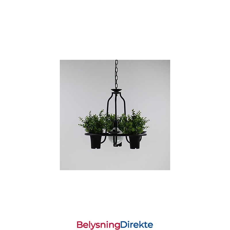 Middelhavshageblomster Lys