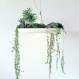 Moderne Samtidsstil Andre Metall Pendellampe