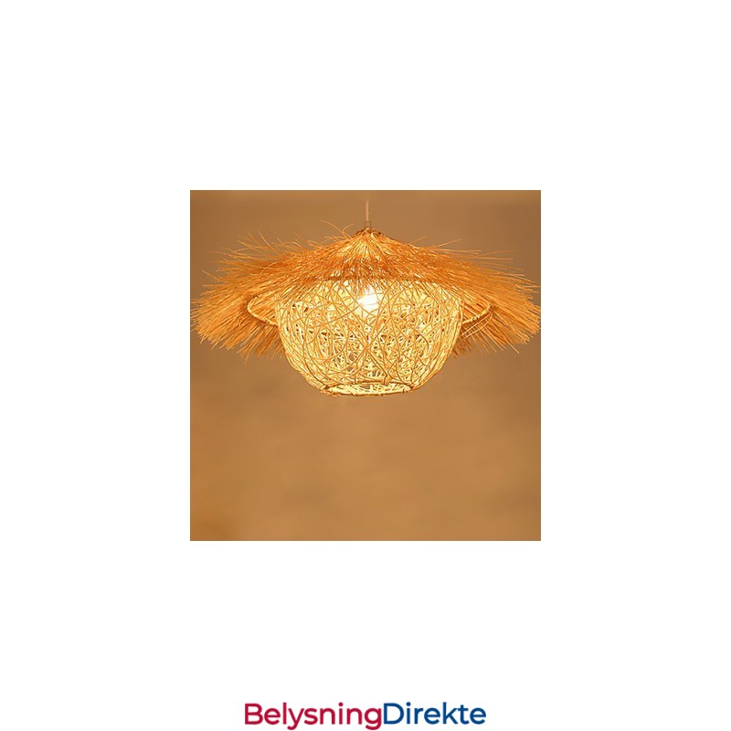 Moderne Landlig Cany Art Vevd Rotting Enkelthodet Droplight-Lampe