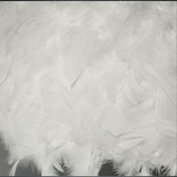 Hot Selling Dia Fashion Feather Lysekrone Moderne Lys