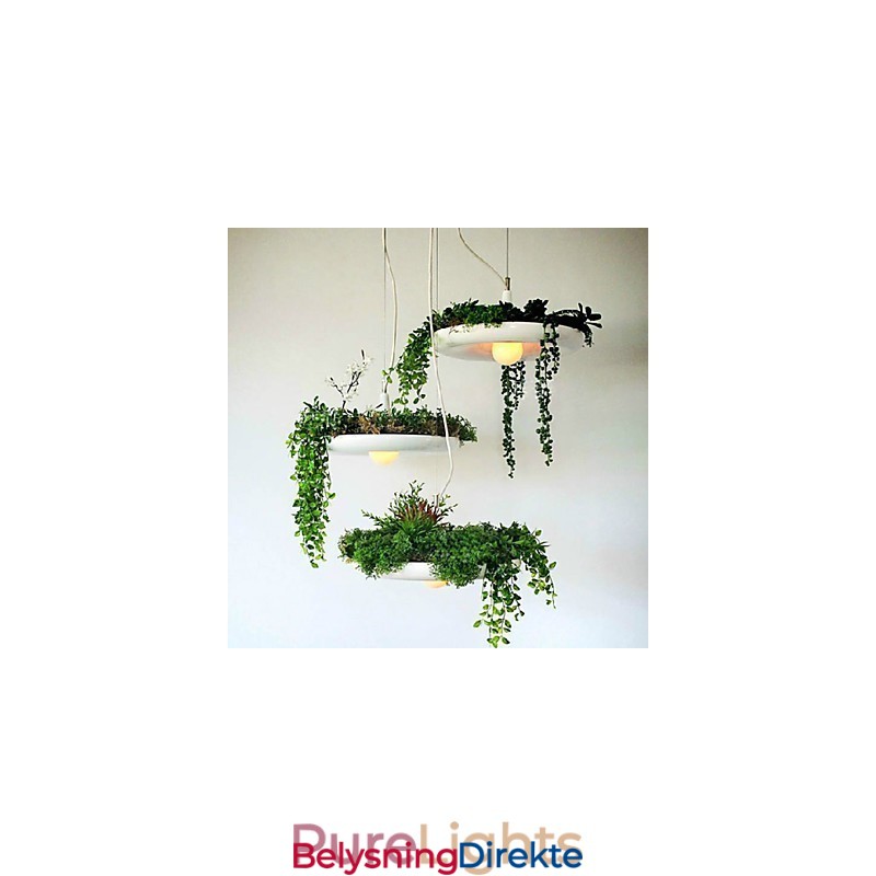 Aluminium Droplight Nordic Creative Contracted Sky Garden Lamps And Lanterns Light No Soil Plant