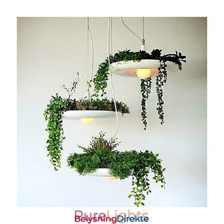 Aluminium Droplight Nordic Creative Contracted Sky Garden Lamps And Lanterns Light No Soil Plant