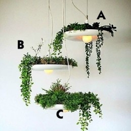 Aluminium Droplight Nordic Creative Contracted Sky Garden Lamps And Lanterns Light No Soil Plant