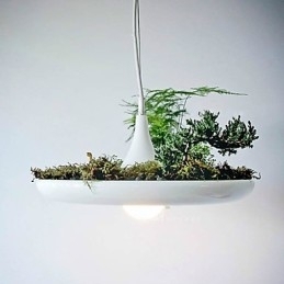 Aluminium Droplight Nordic Creative Contracted Sky Garden Lamps And Lanterns Light No Soil Plant