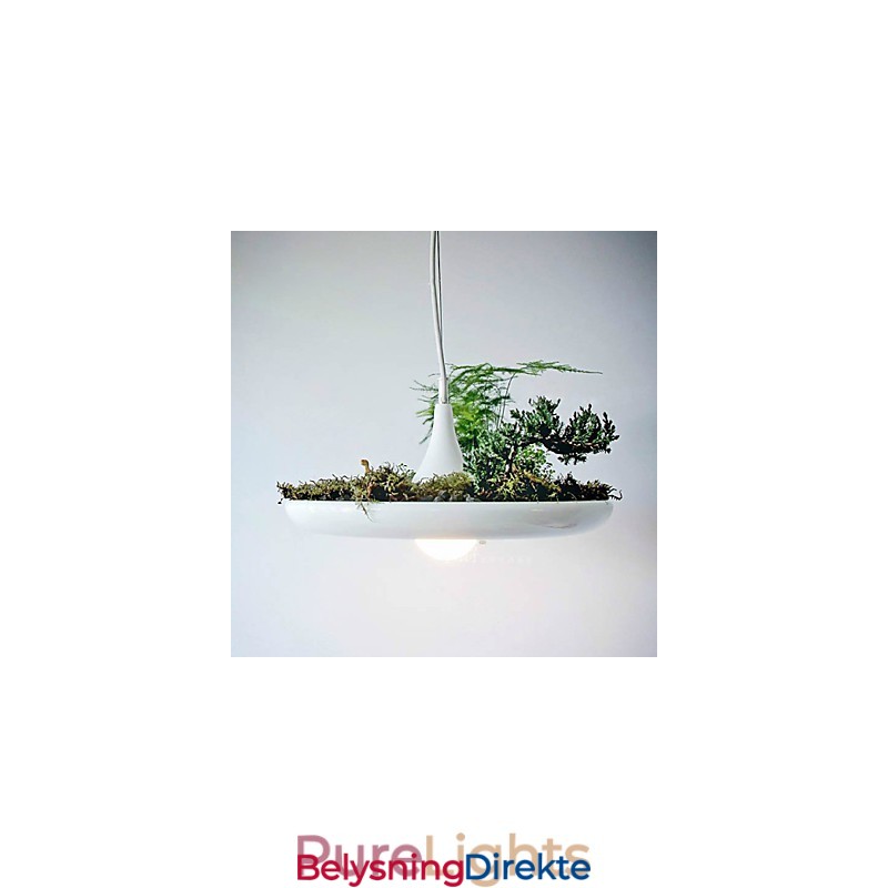 Aluminium Droplight Nordic Creative Contracted Sky Garden Lamps And Lanterns Light No Soil Plant