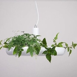 Aluminium Droplight Nordic Creative Contracted Sky Garden Lamps And Lanterns Light No Soil Plant
