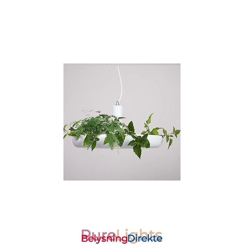 Aluminium Droplight Nordic Creative Contracted Sky Garden Lamps And Lanterns Light No Soil Plant