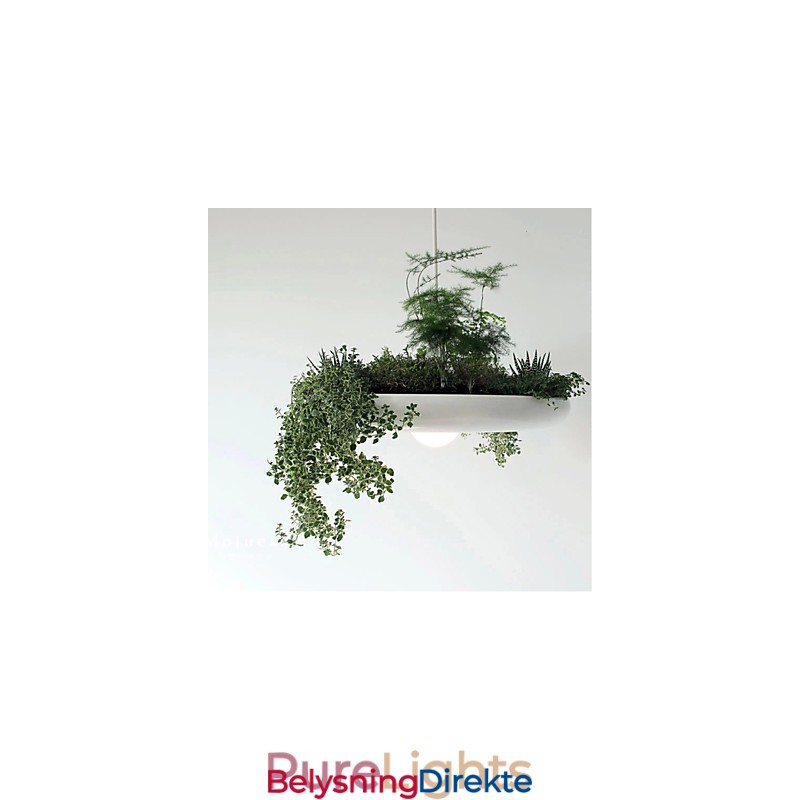 Aluminium Droplight Nordic Creative Contracted Sky Garden Lamps And Lanterns Light No Soil Plant