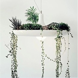 Aluminium Droplight Nordic Creative Contracted Sky Garden Lamps And Lanterns Light No Soil Plant