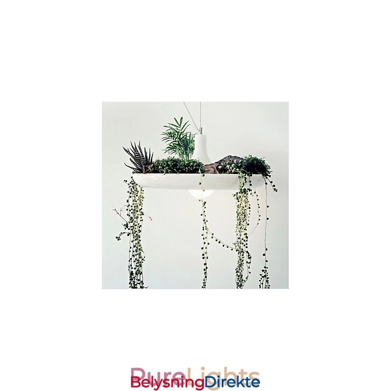 Aluminium Droplight Nordic Creative Contracted Sky Garden Lamps And Lanterns Light No Soil Plant