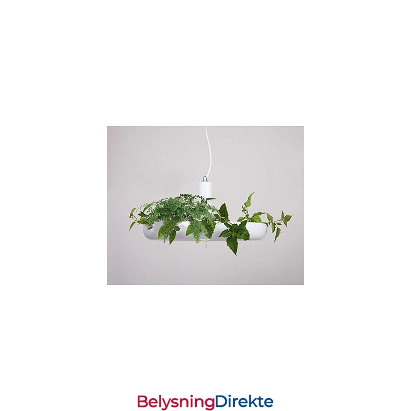 Ren Hvit Moderne, Samtidskunst Dekorativ Design Pendellampefamilie