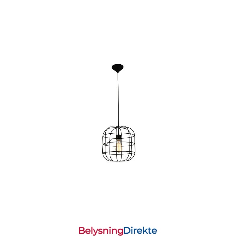 Mini Kunstnerisk Fuglebur-Pendellampe Med 1 Lys, Moderne Enkelhetsfinish, Svart Og Hvitt Metall, Karbonstål